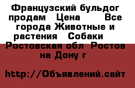 Французский бульдог продам › Цена ­ 1 - Все города Животные и растения » Собаки   . Ростовская обл.,Ростов-на-Дону г.